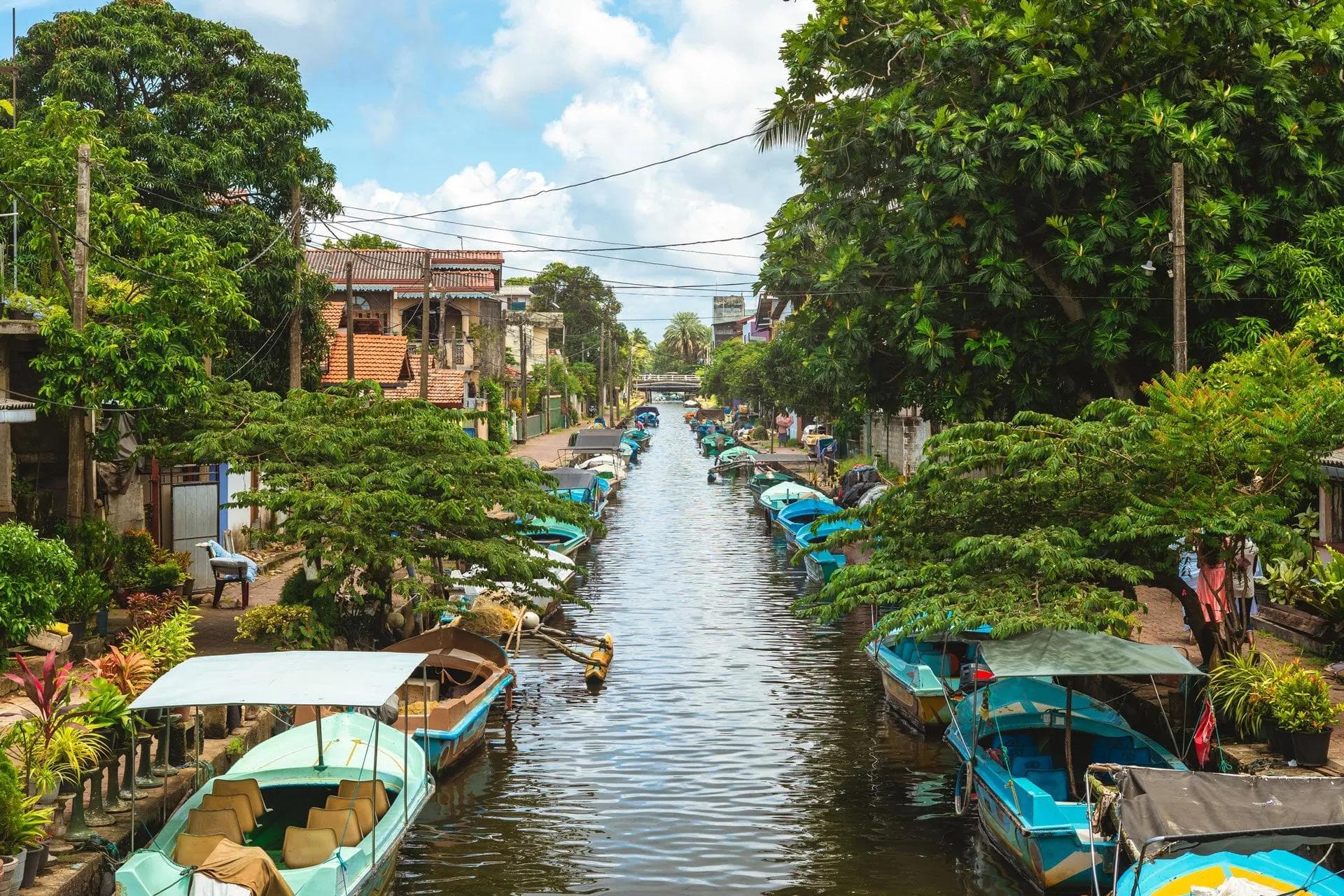 Negombo’s Secret Waterway: Drifting Through Hamilton Canal