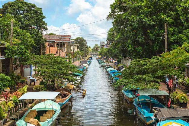 Negombo's Historic Waterways: The Dutch Canal