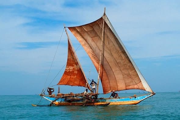 Traditional Catamaran Sailing: Riding the Winds on Ancient Canvas