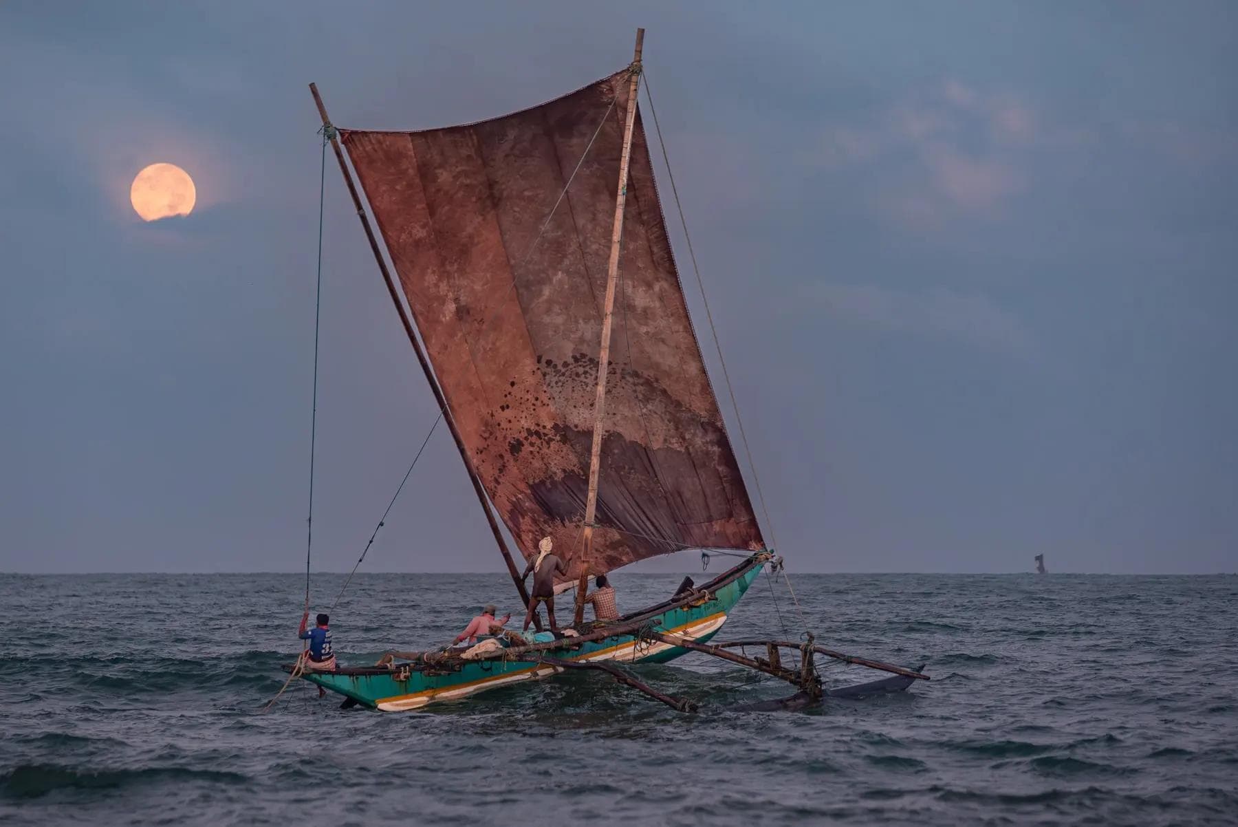 A Photographer's Guide to the Negombo Fish Market Lellama Tips for the Best Shots