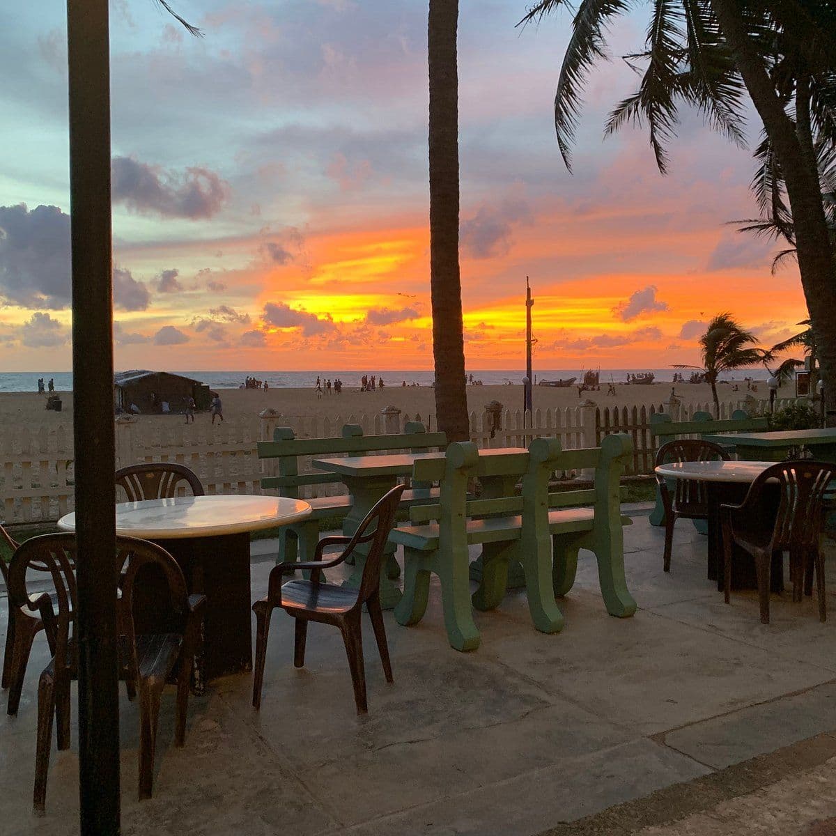 Fresh Catch to Plate The Essential Guide to Eating Seafood in Negombo