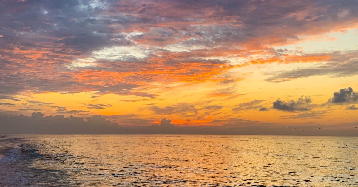 Browns Beach: The Golden Shoreline